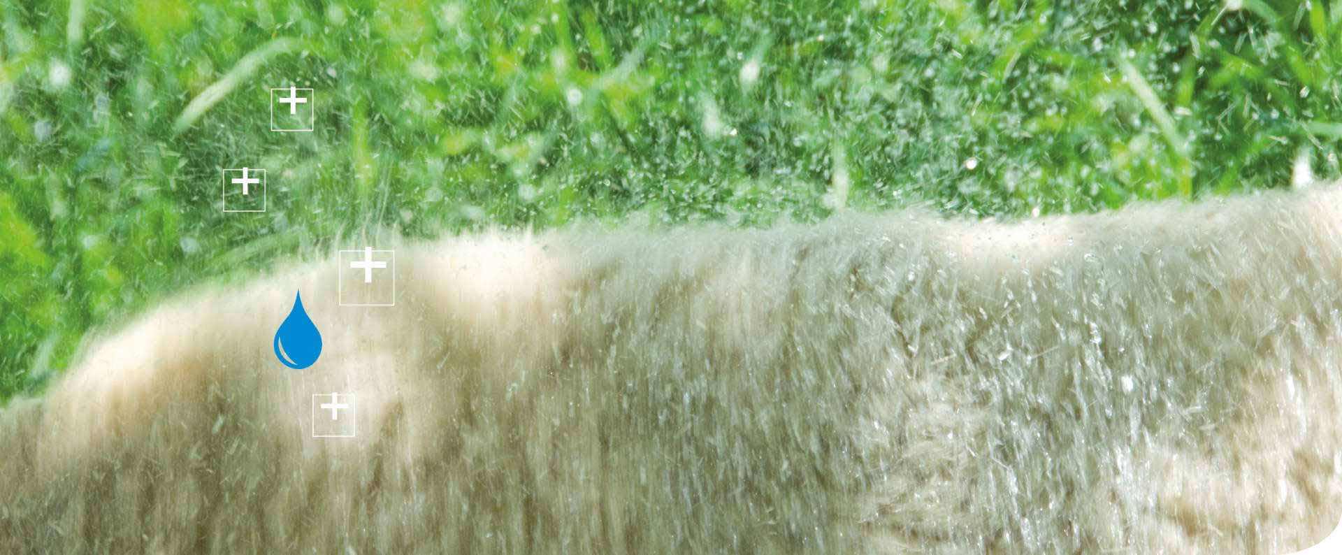 Dachdämmung mit Schafwolle: Alles was Sie wissen müssen